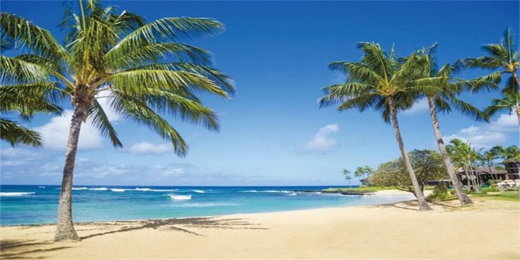 Test toile de fond Renaiss : ambiance bord de mer garantie