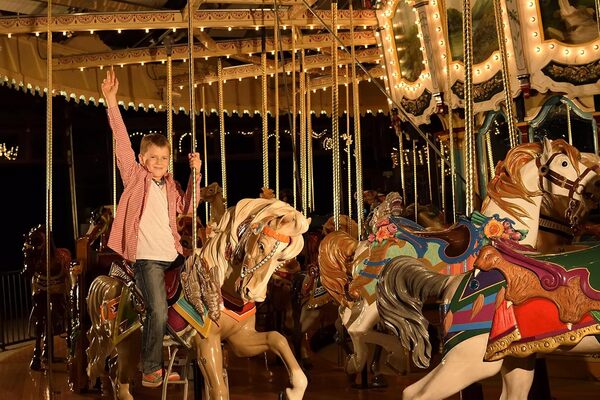 Nikon D3300 Appareil photo numérique Reflex 24,2 Mpix Kit Objectif AF-S 18-105 mm VR Noir