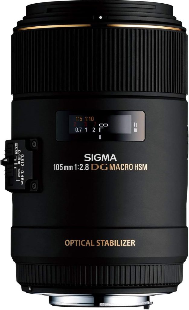 Test de l'objectif Sigma 105 mm F2, 8 DG OS HSM pour Canon
