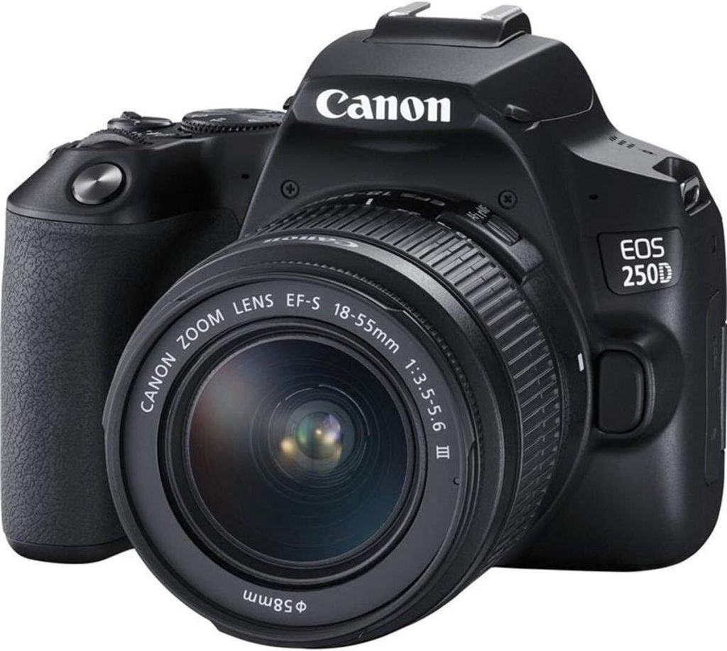 Test du Canon EOS 250D : reflex toujours performant ?