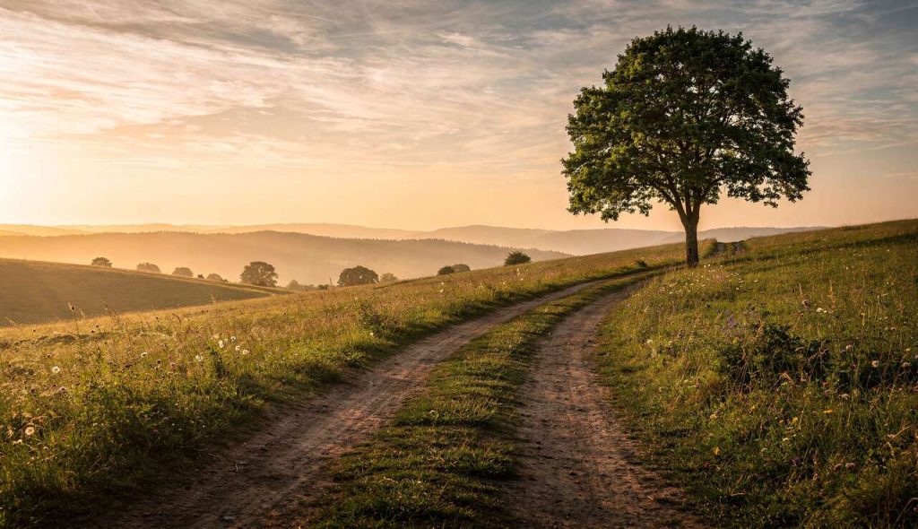 Perspective photo : comment maîtriser l'art de la composition ?