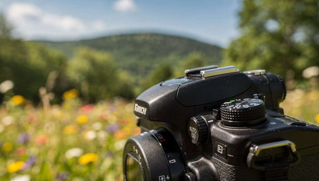 Faut-il mettre les ISO en automatique pour vos photos ?