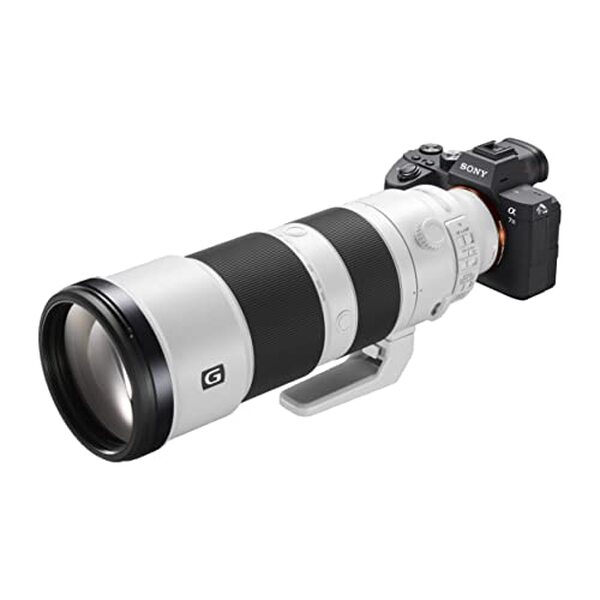 Découvrez notre test complet du télézoom Sony SEL200600G : performances, portée exceptionnelle et qualité d'image pour la photographie animalière et sportive. 