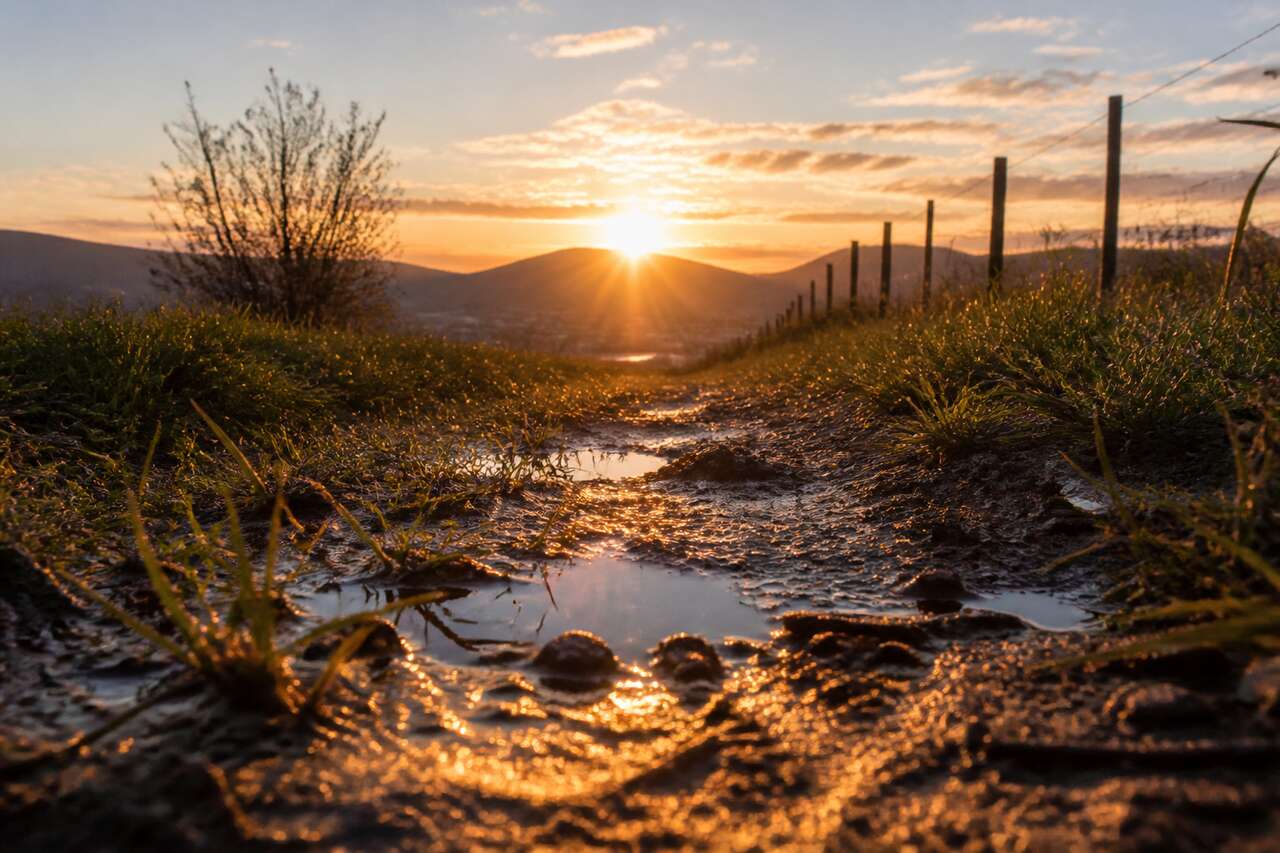 Exposition et lumi&egrave;re &agrave; hauteur de sol : contre-jour, ombres et reflets
