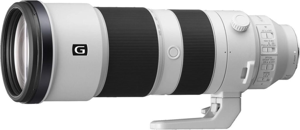 Test du télézoom Sony SEL200600G : grande portée pour la faune et le sport