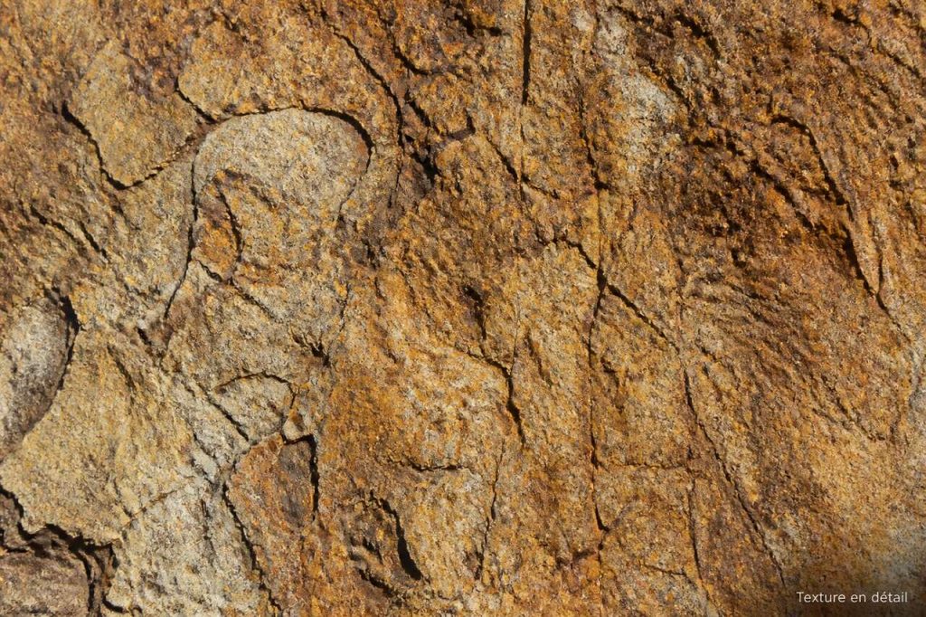 Comment photographier la texture simplement ?