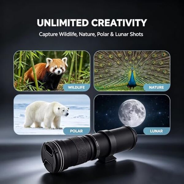 Découvrez notre avis détaillé sur le téléobjectif JINTU 420-1600 mm : performances, qualité d'image et polyvalence pour la photographie de nature et sport.