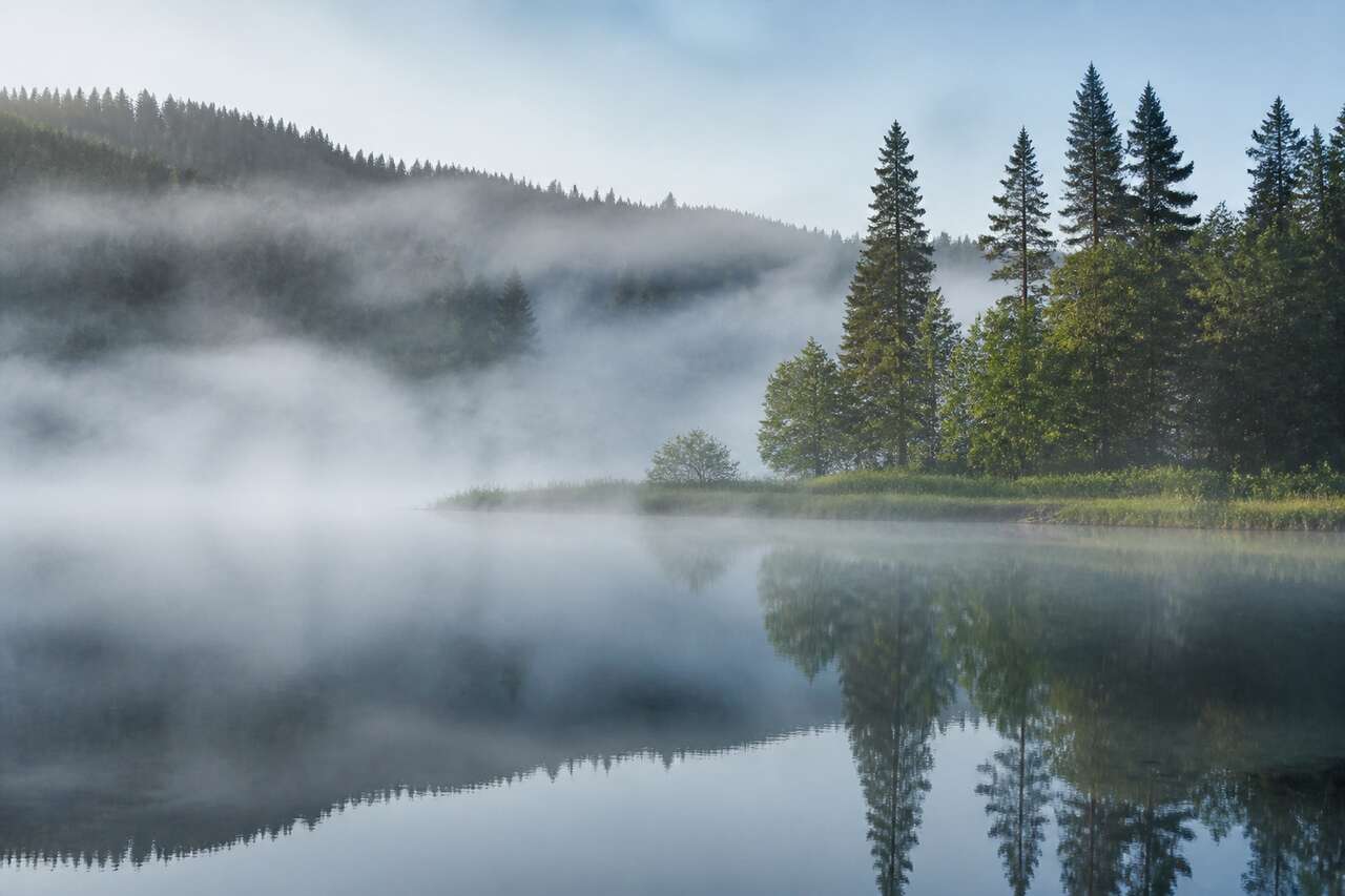 Ce que la brume change dans une photo Ce que la brume change dans une photo