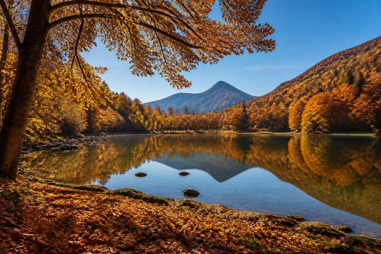 Guide de Photographie : réussir vos Photos d'Automne