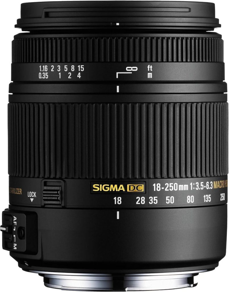 Test : objectif macro Sigma 18-250 mm pour Nikon