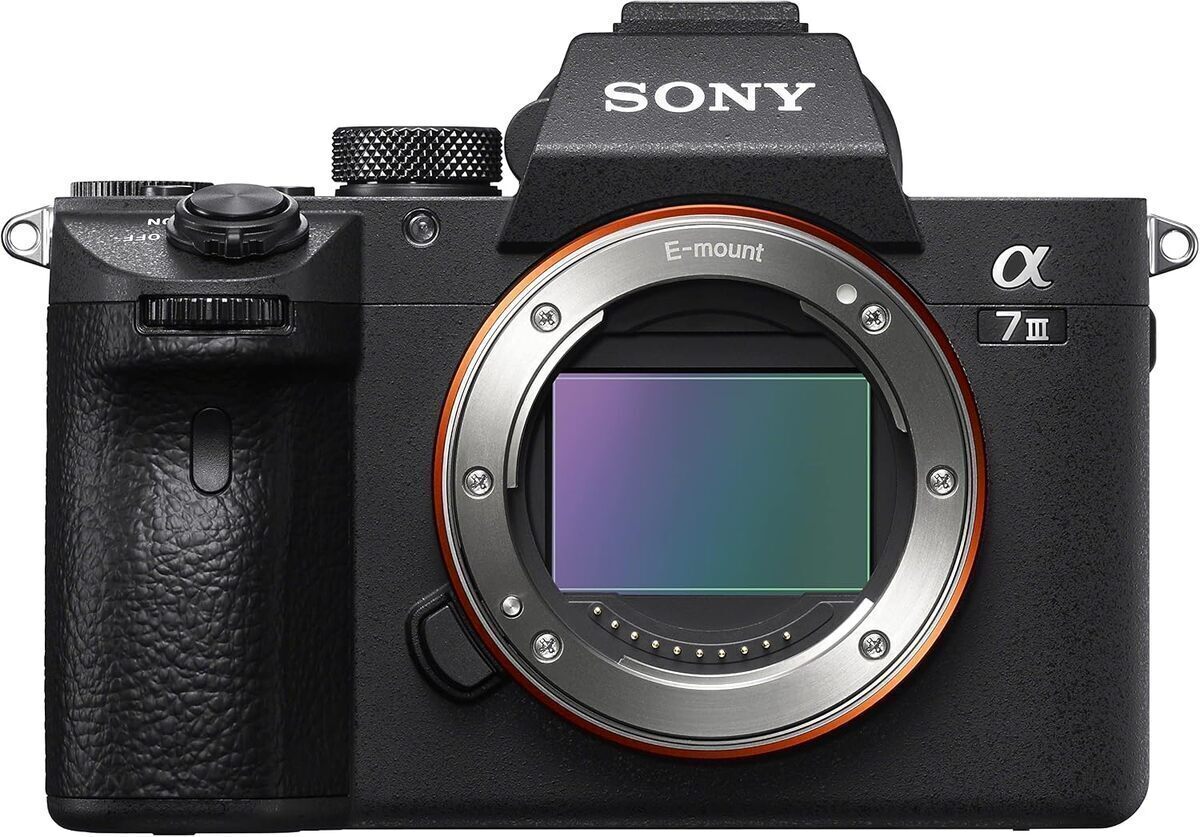 Test : sony Alpha 7 III, la puissance hybride plein format